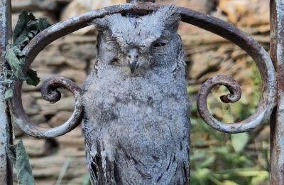 Casa senhorial à venda Galiza, Imagem 30/48