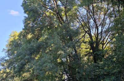 Casa senhorial à venda Galiza, Imagem 32/48