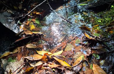 Casa senhorial à venda Galiza, Imagem 33/48