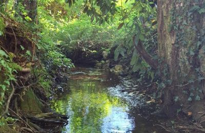 Casa senhorial à venda Galiza, Imagem 35/48