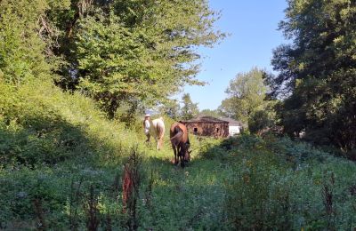 Casa senhorial à venda Galiza, Imagem 42/48