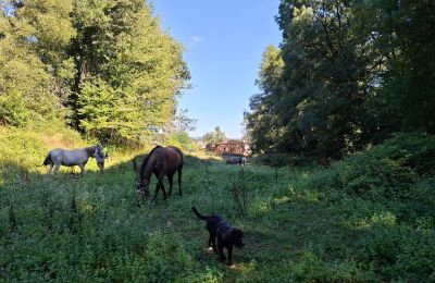 Casa senhorial à venda Galiza, Imagem 43/48