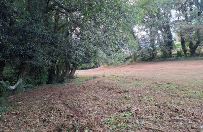 Casa senhorial à venda Galiza, Imagem 44/48