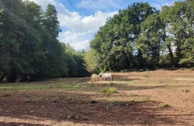 Casa senhorial à venda Galiza, Imagem 46/48