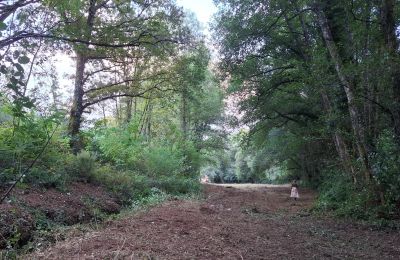 Casa senhorial à venda Galiza, Imagem 47/48