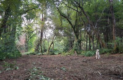 Casa senhorial à venda Galiza, Imagem 48/48