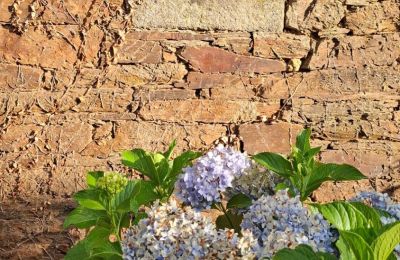 Casa senhorial à venda Galiza, Imagem 8/48