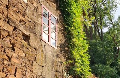 Casa senhorial à venda Galiza, Imagem 9/48