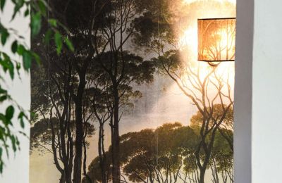 Imóvel histórico à venda Uzès, Occitânia, Imagem 25/46