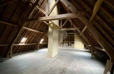 Palácio à venda Mirande, Occitânia, Imagem 20/26