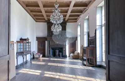 Palácio à venda Mirande, Occitânia, Imagem 8/26