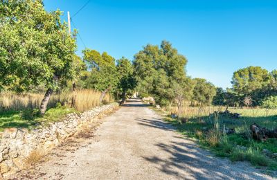 Casa senhorial à venda Palma, Ilhas Baleares, Imagem 20/24