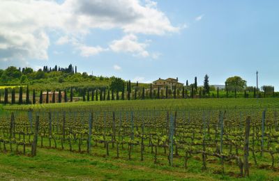 Casa de campo à venda Sarteano, Toscana, Imagem 49/50
