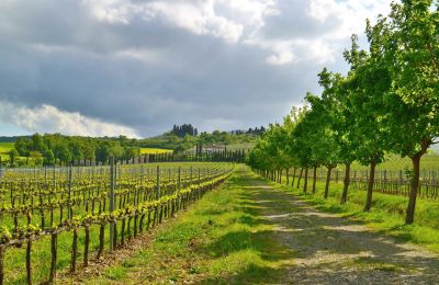 Casa de campo à venda Sarteano, Toscana, Imagem 46/50