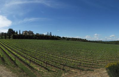 Casa de campo à venda Sarteano, Toscana, Imagem 50/50