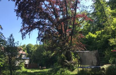 Apartamento histórico à venda Gera, Vollersdorfer Str. 56, Turíngia, Garten mit Buche