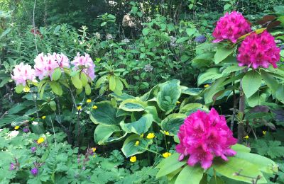 Apartamento histórico à venda Gera, Vollersdorfer Str. 56, Turíngia, Rhododendronbeet