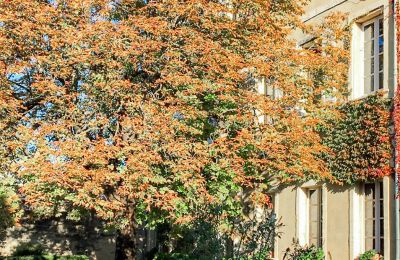 Palacete à venda Uzès, Occitânia, Imagem 25/25