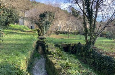 Moinho à venda Angoulême, Nova Aquitânia, Propriedade