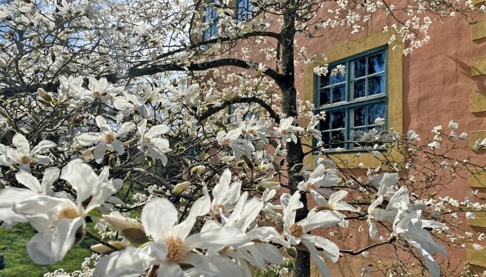 Castelo à venda Mecklemburgo-Pomerânia Ocidental