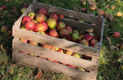 Castelo à venda Mecklemburgo-Pomerânia Ocidental, Imagem 77/97