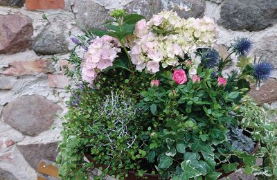 Castelo à venda Mecklemburgo-Pomerânia Ocidental, Imagem 52/97