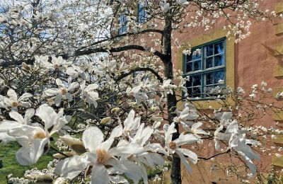 Imóveis históricos, Castelo no norte da Alemanha - 19 ha