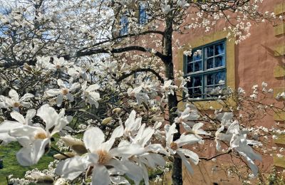 Castelo à venda Mecklemburgo-Pomerânia Ocidental, Imagem 44/97