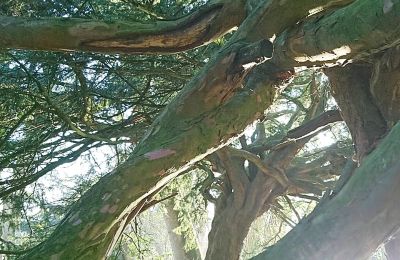 Castelo à venda Mecklemburgo-Pomerânia Ocidental, Imagem 58/97