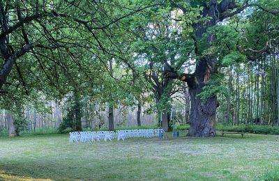 Castelo à venda Mecklemburgo-Pomerânia Ocidental, Imagem 67/97