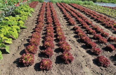Castelo à venda Mecklemburgo-Pomerânia Ocidental, Imagem 59/97