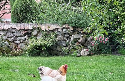Castelo à venda Mecklemburgo-Pomerânia Ocidental, Imagem 74/97
