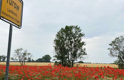 Castelo à venda Mecklemburgo-Pomerânia Ocidental, Imagem 92/97