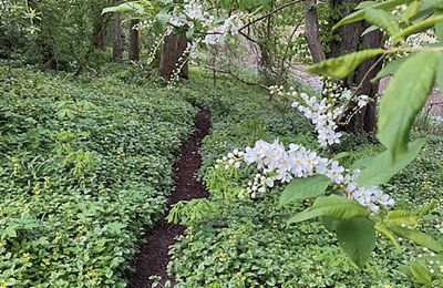 Castelo à venda Mecklemburgo-Pomerânia Ocidental, Imagem 57/97