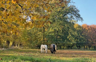 Castelo à venda Mecklemburgo-Pomerânia Ocidental, Imagem 76/97
