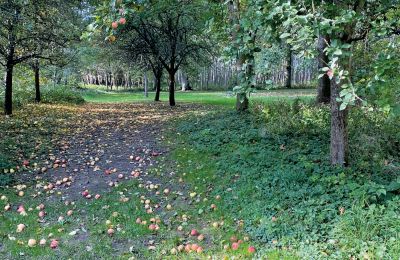 Castelo à venda Mecklemburgo-Pomerânia Ocidental, Imagem 68/97