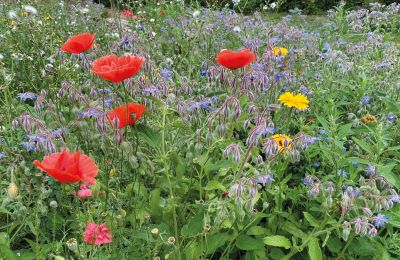 Castelo à venda Mecklemburgo-Pomerânia Ocidental, Imagem 64/97