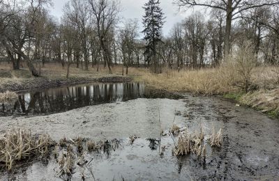 Casa senhorial à venda Bolkowice, Dwór w Bolkowicach, Zachodniopomorskie, Jardim palaciano