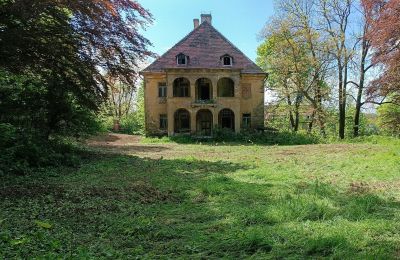 Palácio à venda Kostrzyna, Kostrzyna 38, Dolnoslaskie, Imagem 4/19