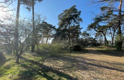 Casa de campo à venda 17375 Leopoldshagen, Mecklemburgo-Pomerânia Ocidental, Blick in die Einfahrt