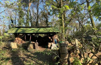 Casa de campo à venda 17375 Leopoldshagen, Mecklemburgo-Pomerânia Ocidental, Brennholzlager