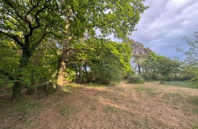 Casa de campo à venda 17375 Leopoldshagen, Mecklemburgo-Pomerânia Ocidental, Gartenblick