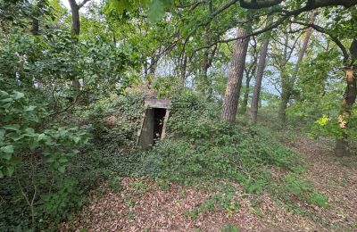 Casa de campo à venda 17375 Leopoldshagen, Mecklemburgo-Pomerânia Ocidental, Erdbunker