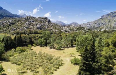 Casa senhorial à venda Escorca, Ilhas Baleares, finca-escorca-40