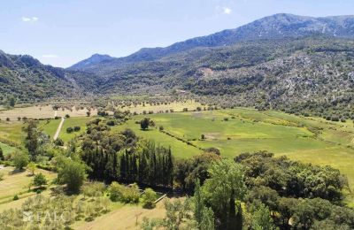 Casa senhorial à venda Escorca, Ilhas Baleares, finca-escorca-39