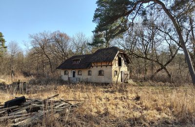Mansão histórica à venda Słubice, Lubuskie, Imagem 4/15