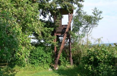 Casa de campo à venda Alemanha, Imagem 15/32