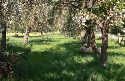 Casa de campo à venda Alemanha, Imagem 29/32