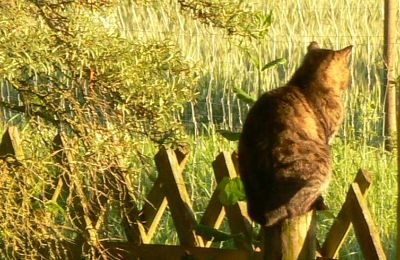 Casa de campo à venda Alemanha, Imagem 32/32