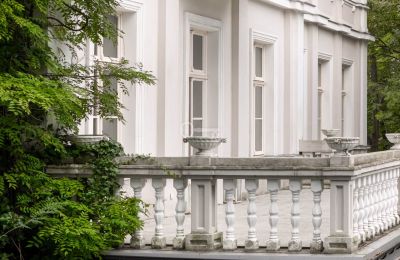 Palácio à venda Malina, Pałac Malina, Lodzkie, Imagem 8/28